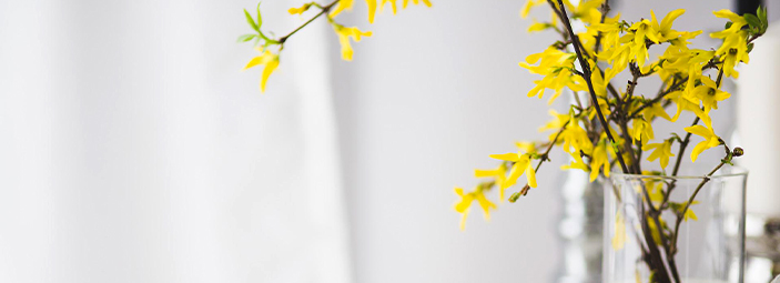Dekorations-Bild mit Blume